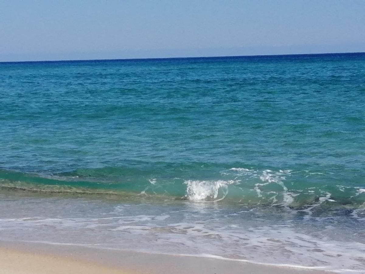 Home Beach Costa Rey Costa Rei Eksteriør billede